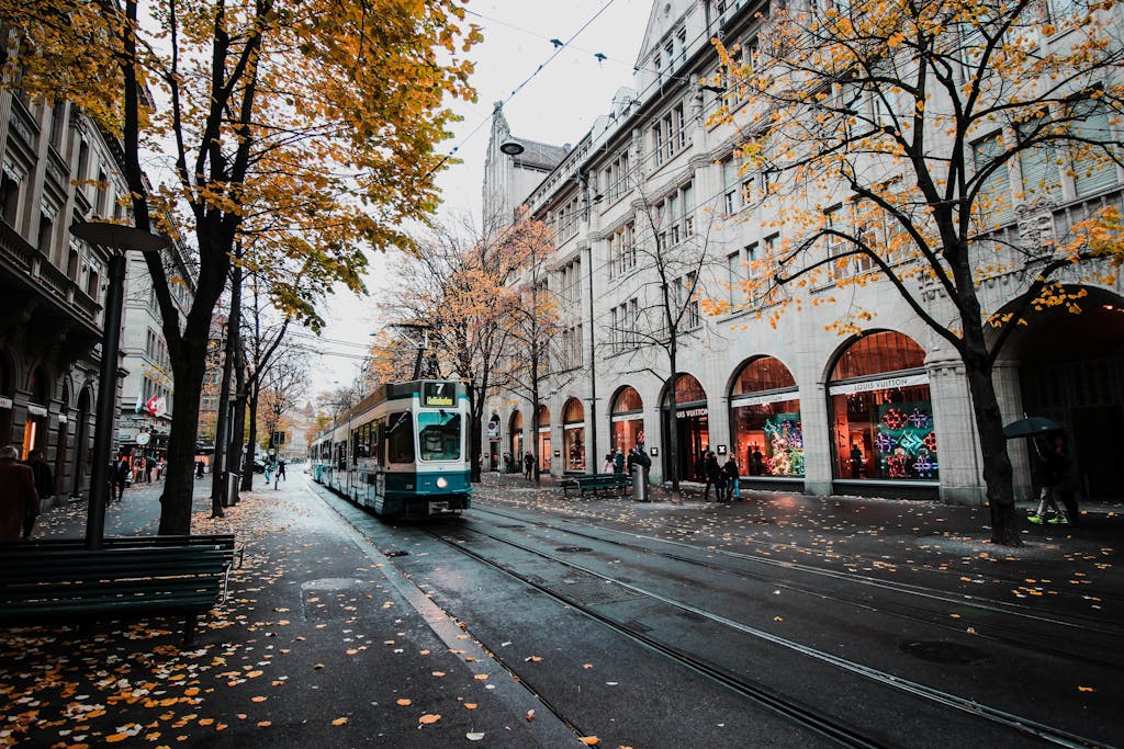 A tram travels down a leaf-strewn street in autumnal Zürich, Switzerland's urban landscape.